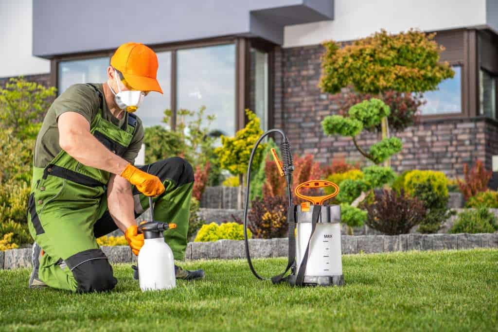 Pest Control Technician Preparing to Perform Pest Control Treatment