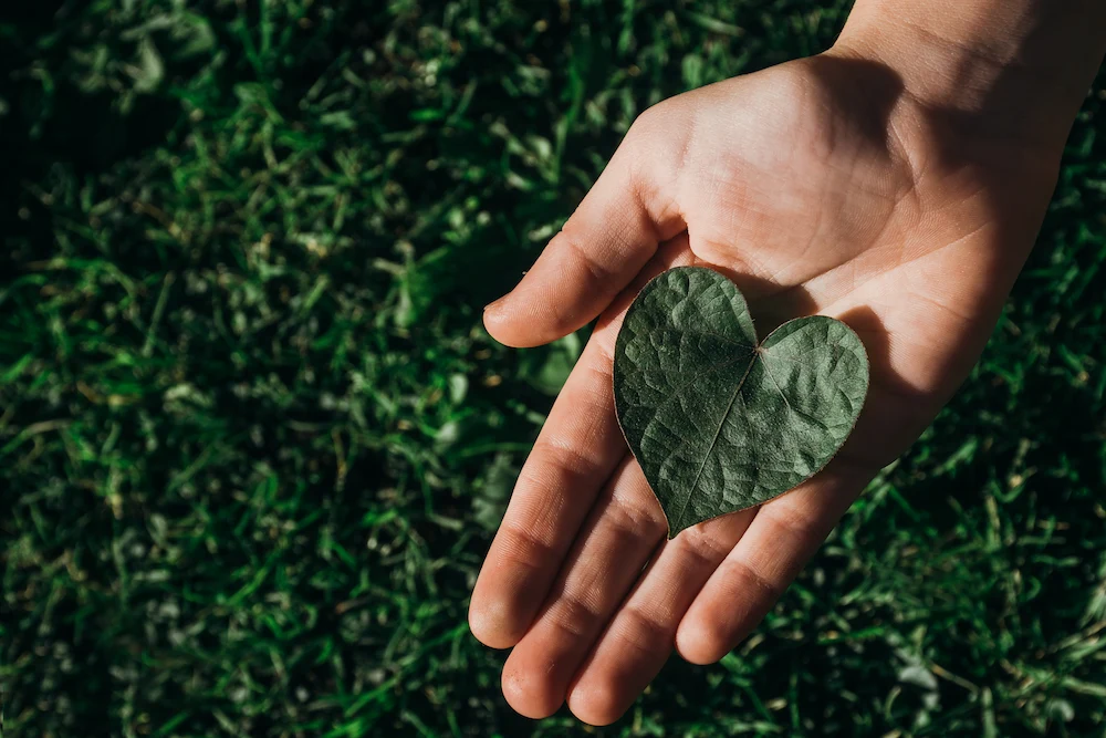 IPM; environmentally friendly
