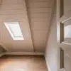 The 5 Worst Attic Pests in Missouri and Illinois Homes