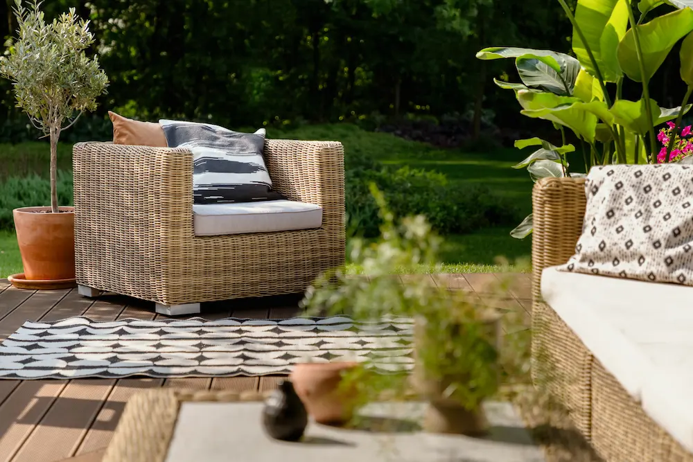 pest-free patio tips