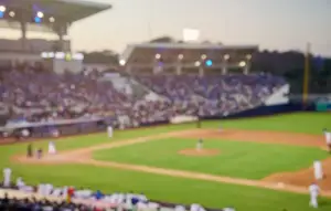 how to prevent pests at baseball games